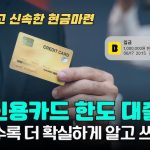 신용카드사용자 대출
